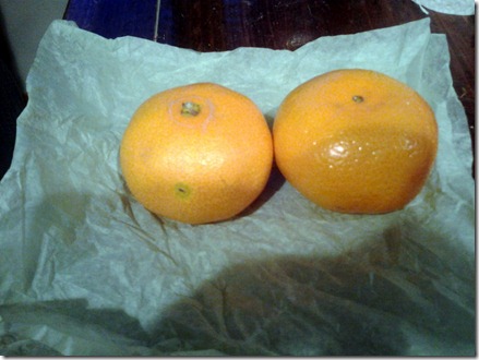 Mandarin Oranges November 22 2012