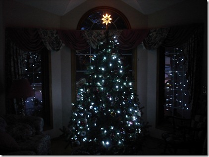 Christmas Decorating December 7 2012 (12)